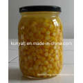 Canned Sweet Corn with High Quality